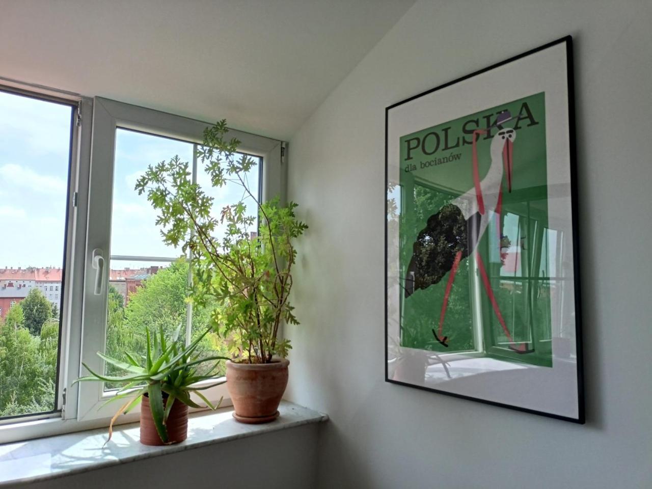 Lemuria Pokoje Hostel Chojnowska A Legnica Ngoại thất bức ảnh