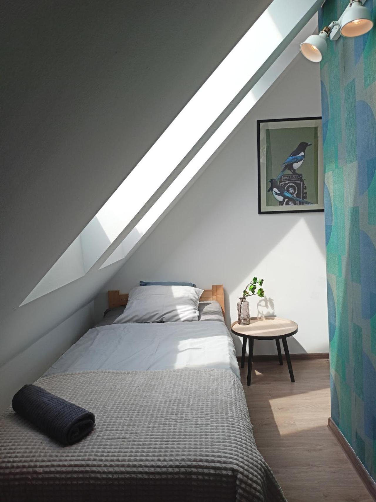 Lemuria Pokoje Hostel Chojnowska A Legnica Ngoại thất bức ảnh